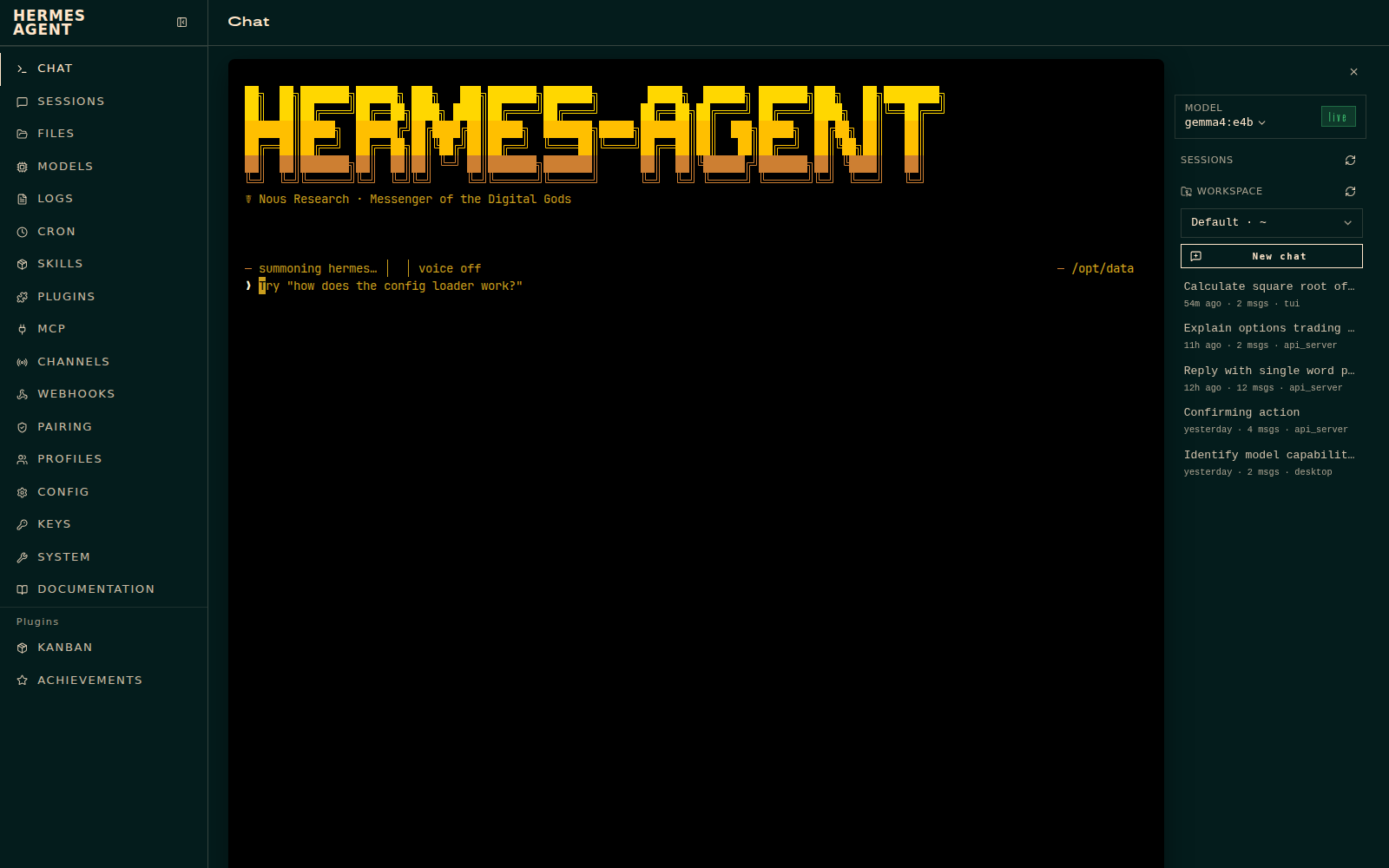 A co-worker's private dashboard: the Hermes agent chat view with an embedded terminal console showing the agent's ASCII-art banner, a model selector set to gemma4:e4b, and a session history sidebar listing recent conversations.